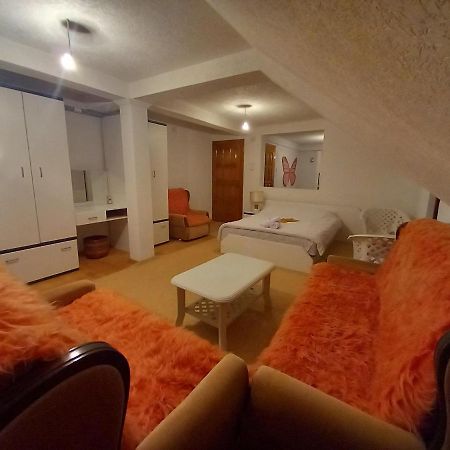 Apartment Little Village Πλαβ Εξωτερικό φωτογραφία