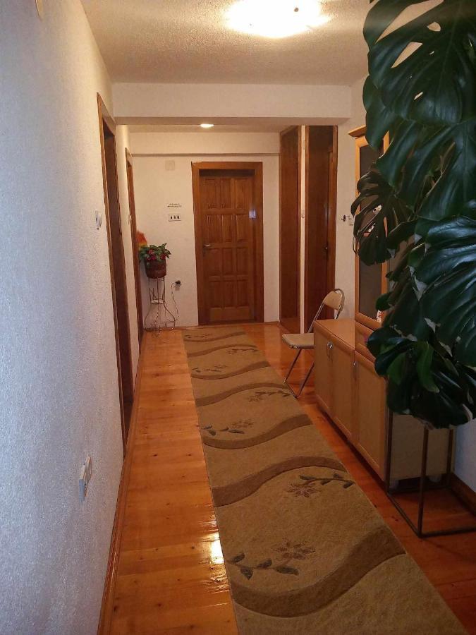 Apartment Little Village Πλαβ Εξωτερικό φωτογραφία